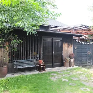 Yomogi , Tokoname Japon