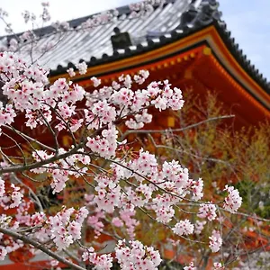 Aparthotel Sakura Gion North, Kyōto